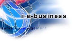 e-Business Consultancy